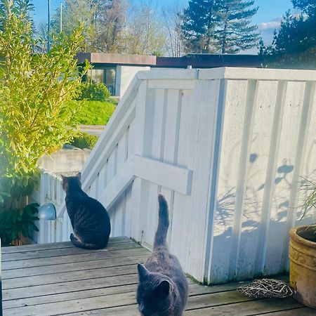 Cool Familyhome Close To The Beach W Two Cuddly Cats Espergaerde Экстерьер фото